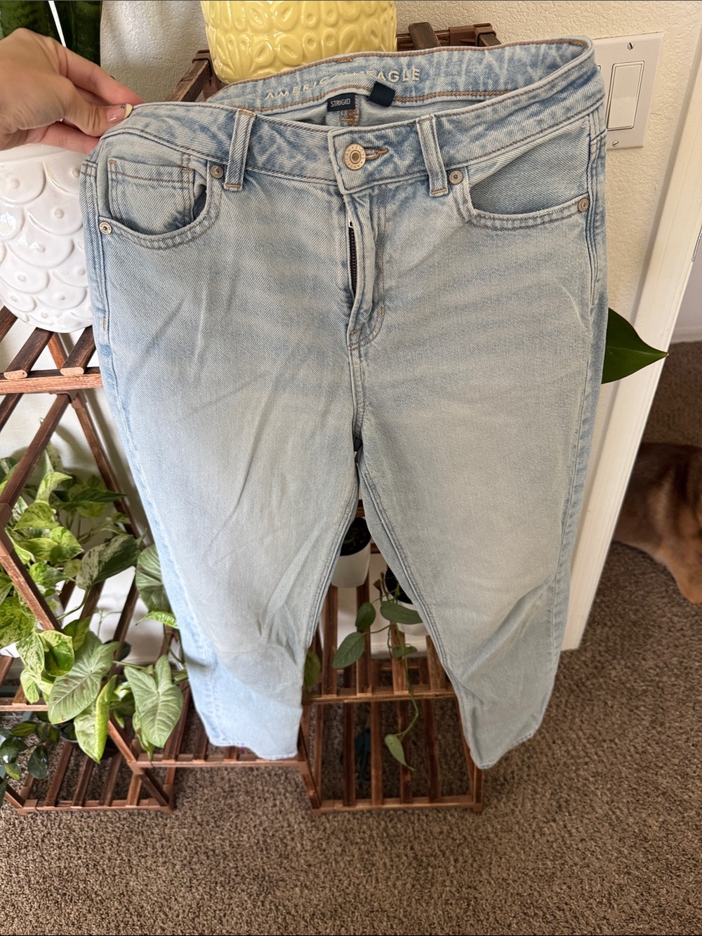 American Eagle Light Wash Mom Jeans